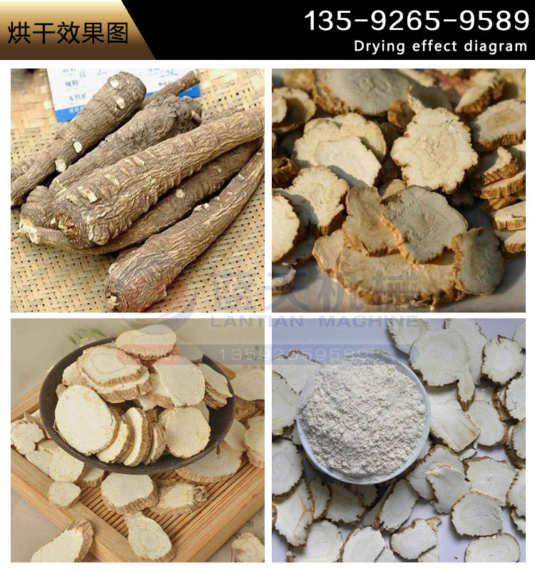白芷烘干機烘干效果
